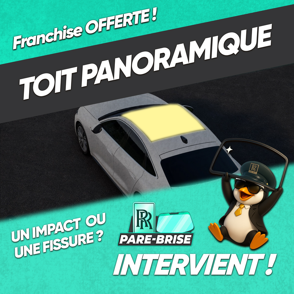 toi-panoramique-rrparebrise